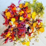 Potager aromatique du chef Pierrick Célibert, restaurant C'yusha Bordeaux