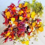"Nos producteurs — Cuisine locavore à Bordeaux — C'Yusha