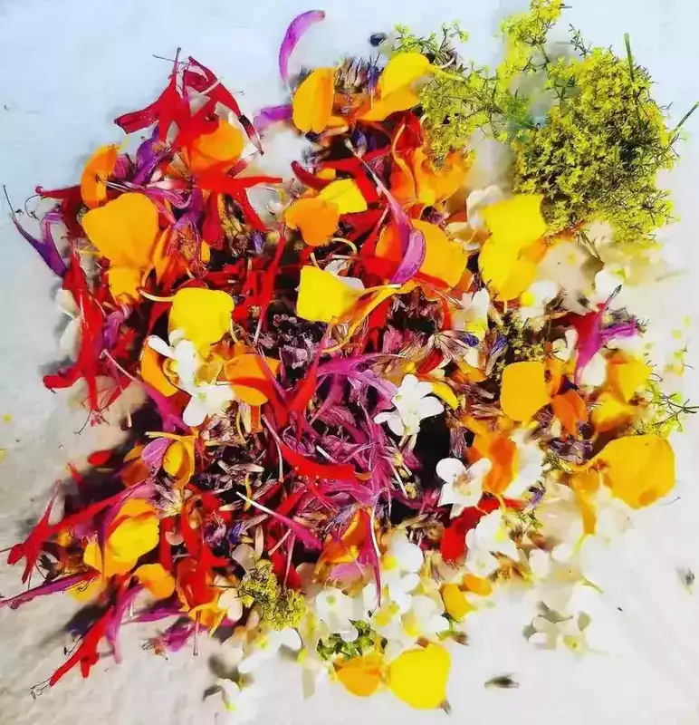 "Nos producteurs — Cuisine locavore à Bordeaux — C'yusha