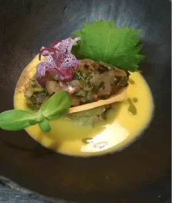 tartare de bar au shiso