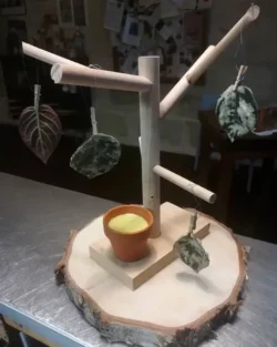 l'arbre à fromage