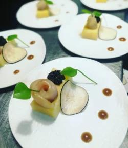 déclinaison autour de l'esturgeon du Teich