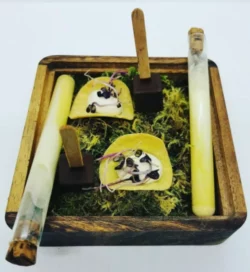 miseen bouche au foie gras