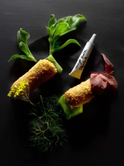 bonbon aux huitres du Cap Ferret et noisette, mayonnaise à l'huitre végétale