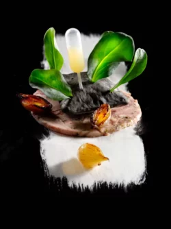 huitre végétale et grenier médocain huitre végétale et grenier médocain