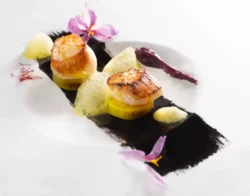 Moix de saint jacques et safran d'Andernos