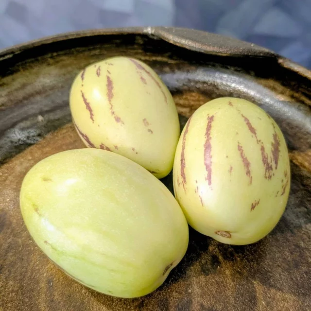 Ce week-end, au détour d'un marché, une jolie découverte : le pépino, au...